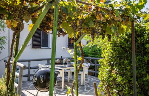 Sole Verde green house - Foto 71