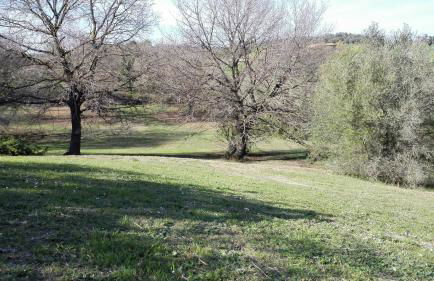 Il Piccolo Rifugio - L'Angoletto - Foto 66