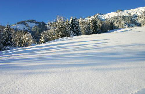 Appartement convivial à Hauteluce 64 m² avec vue sur la montagne - Foto 25
