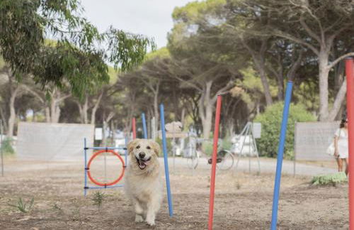 Holiday Home S'Ena Arrubia by Interhome - Foto 17