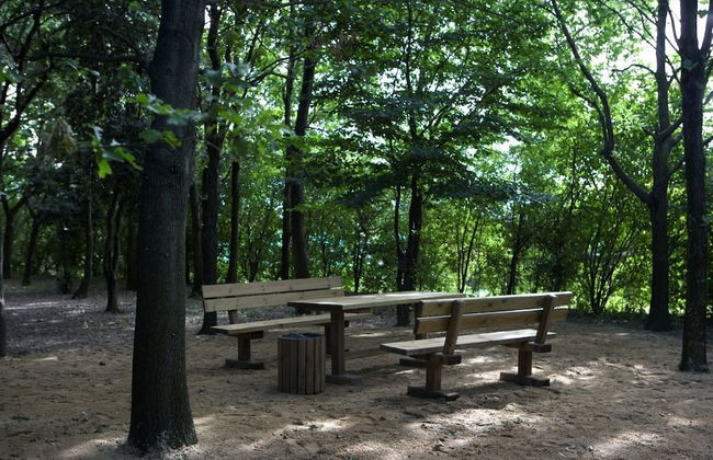 Relais Ormesani - Foto 28