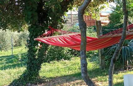 Residence Grimani - Photo 39