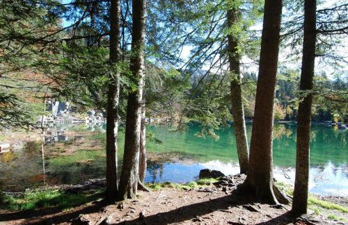 Face Mont-Blanc - Photo 8