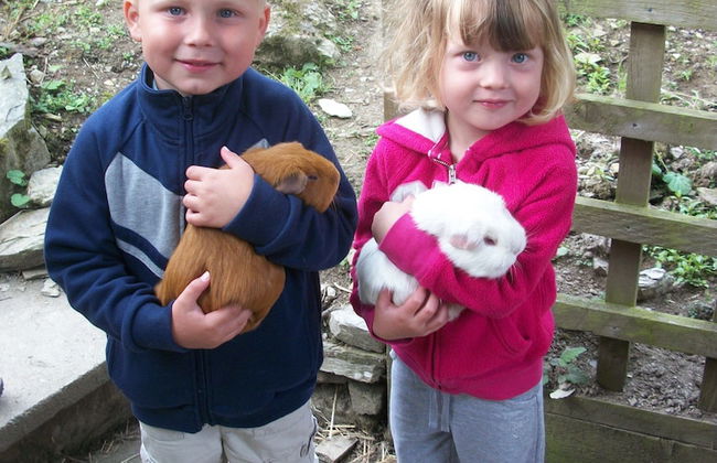 Polean Farm Cottages - Photo 68