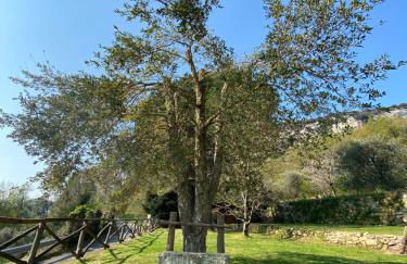 CASA VIRGINIA - Foto 28