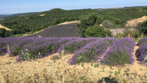 Place du village Haute Provence - Foto 1