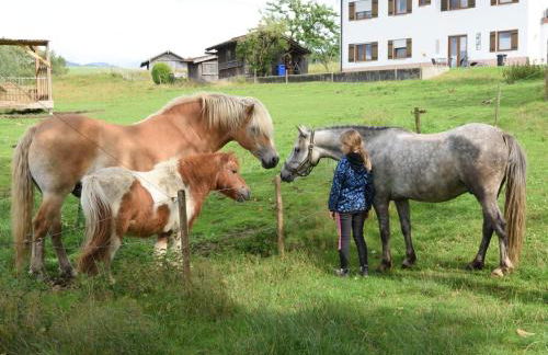 Bauernhof Bauer - Foto 12