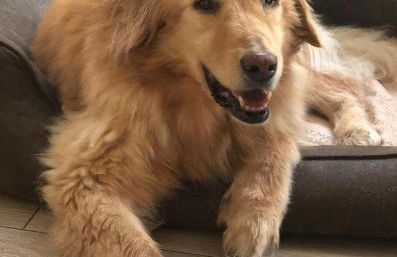 Ferienhaus Atempause - Foto 57