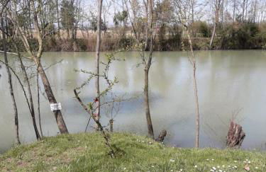 Tenuta Crescentini-ValleMura ,appartamenti con entrata indipendente - Foto 63