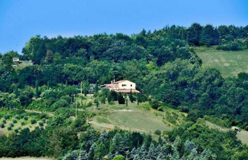 Tenuta Sant'Apollinare - Foto 6