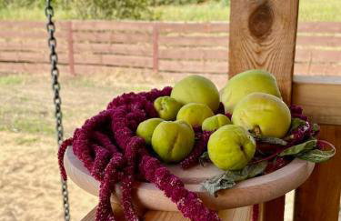 Siedlisko Rykowisko - Foto 22