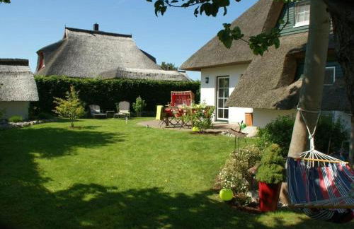 Reethus Starkikker - Foto 7