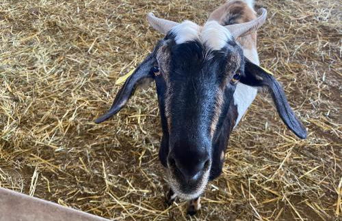 Apartamento Mi casa tu casa - Foto 1