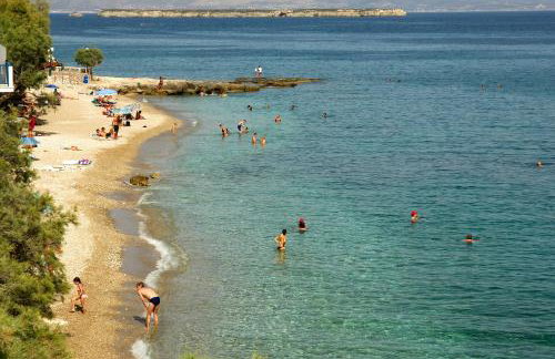 Tarsa Studios - Photo 50