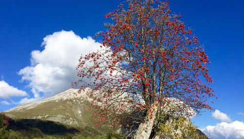 Casas Rurales Prieto - Foto 5