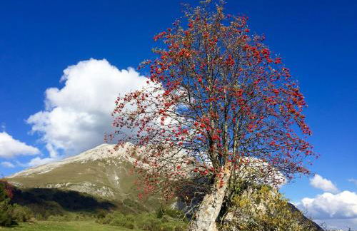 Casas Rurales Prieto - Foto 5