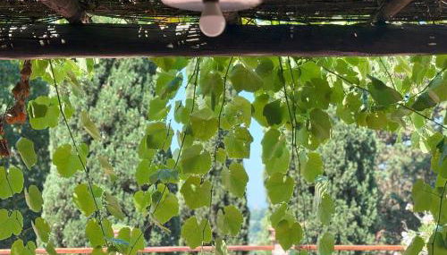 Podere Casato Hills View, Pool, Wifi Tuscany - Foto 5