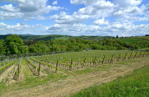 Agriturismo Mocine - Foto 25