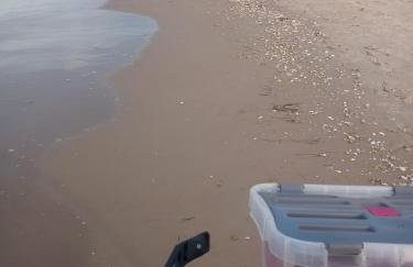 Fischstuebchen Neeberg - Foto 57