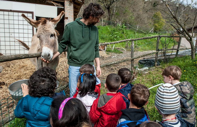 La Cartiera dei Benandanti - Foto 36