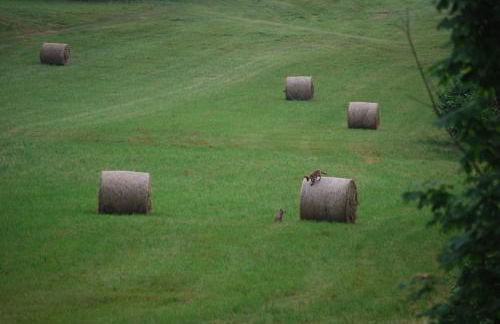 Fienile Chiaramada - Foto 5