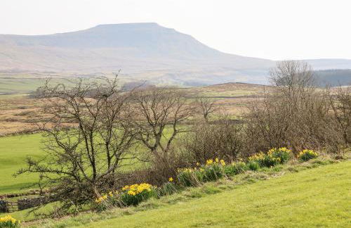 Netherscar - Foto 28