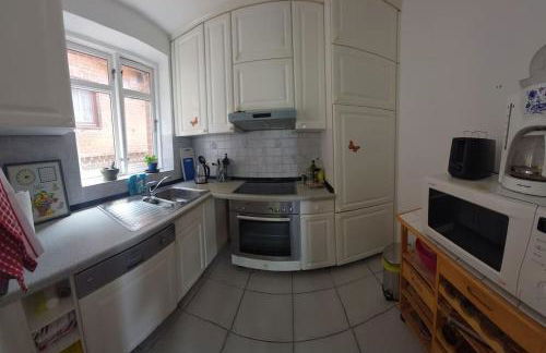 Wo die Fledermaus fliegt - Foto 13