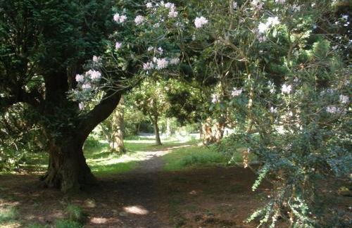 Lastingham Grange - Foto 58