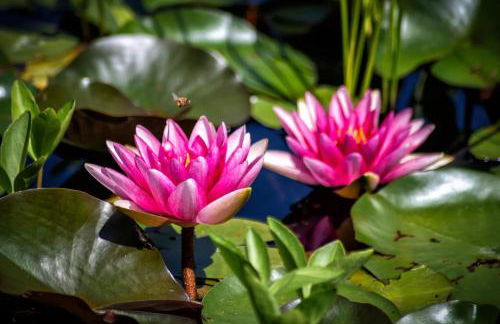 Florianshof - Foto 32