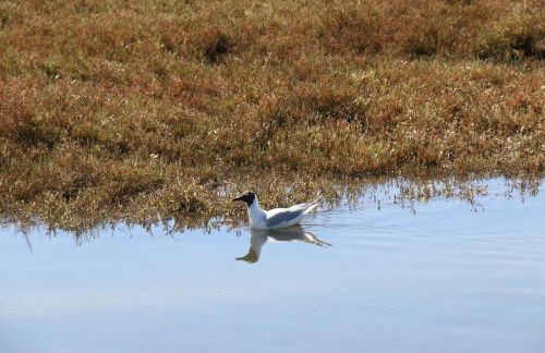 Apartamento Santa Luzia - Foto 57
