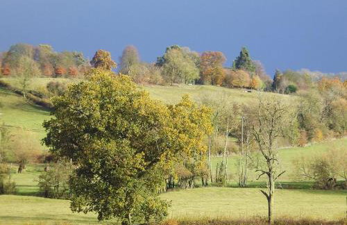 Wonderful Picturesque Countryside Cottage - Foto 8