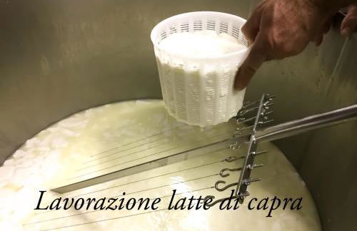 Agriturismo Chevres a Cheval - Foto 137