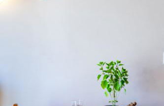 Diamante Beachfront Suites - Foto 20