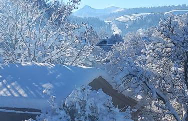 FeWo Alpenfreude mit Hallenbad - Foto 32