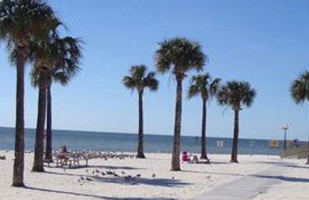 Paradise!! GolfCartRental/Paddleboat/Kayak/Fish/Swim - Foto 11