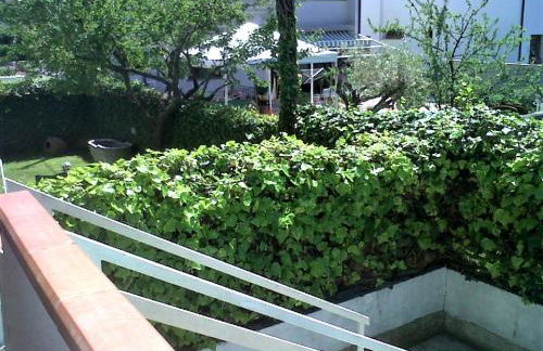 Vivi la versilia e le 5 terre - Foto 14