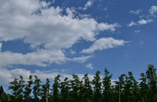 Agritur Maso Forcola - Photo 21