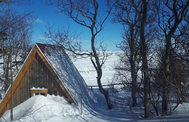 Le Ski Shack - Foto 56