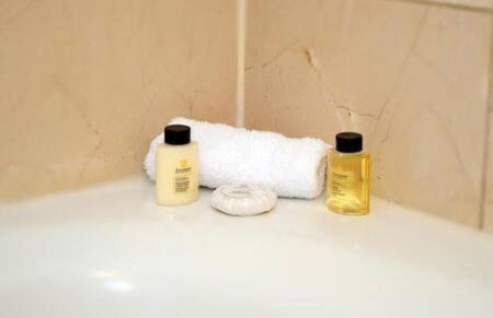 The Palms, Ocean View Studio Located at Ritz Carlton - Key Biscayne - Foto 28