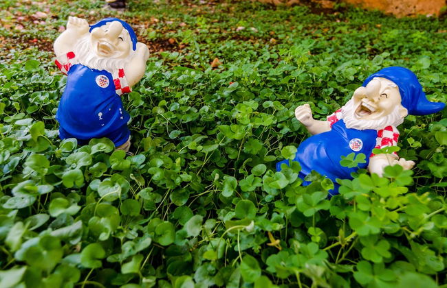 Miracle Apartments - Foto 59