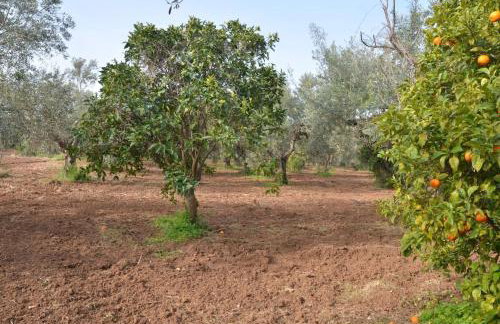 Agrilis Cottage near the beach - Foto 20