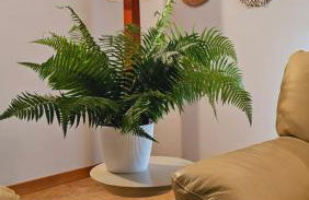 Casa Rural Simonan Borda - Foto 15