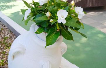 Guest House Oleandro - Foto 22