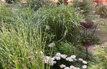 Marie Carla - Foto 57