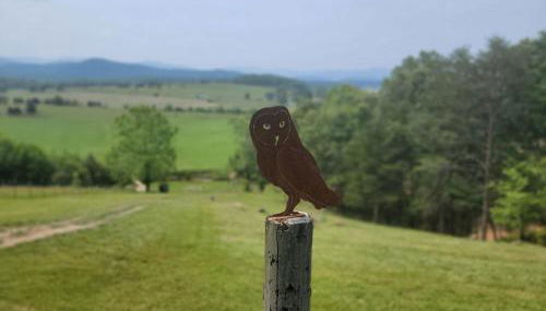 The Loft at Hebron Valley Overlook - Photo 3