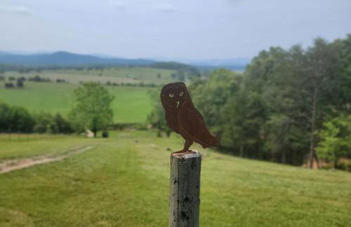 The Loft at Hebron Valley Overlook - Foto 3