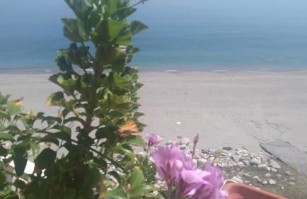 La casa dell'azzurro - Foto 8