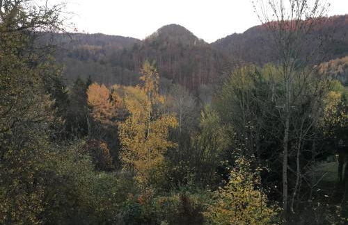 Haus Christoffel Wieda - Foto 51