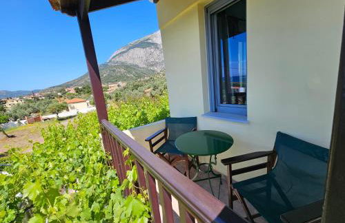 Studio Popi - Foto 27