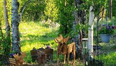 The Salmon Suite - Photo 3